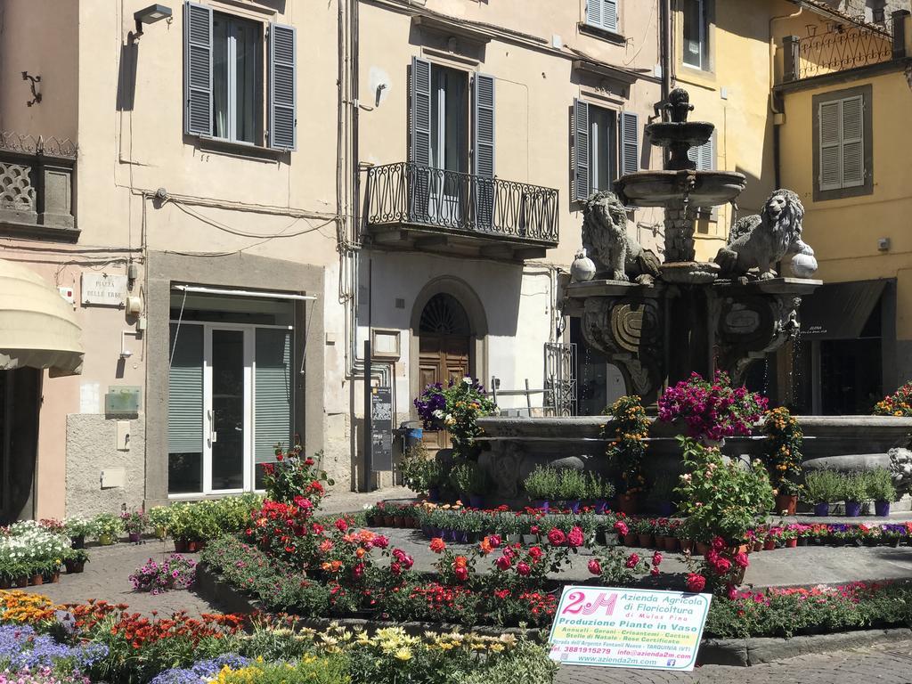 Le Erbe Guest House 维泰博 外观 照片